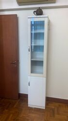 Parc Oasis (D22), Condominium #446893551